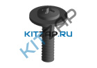 ���� �50